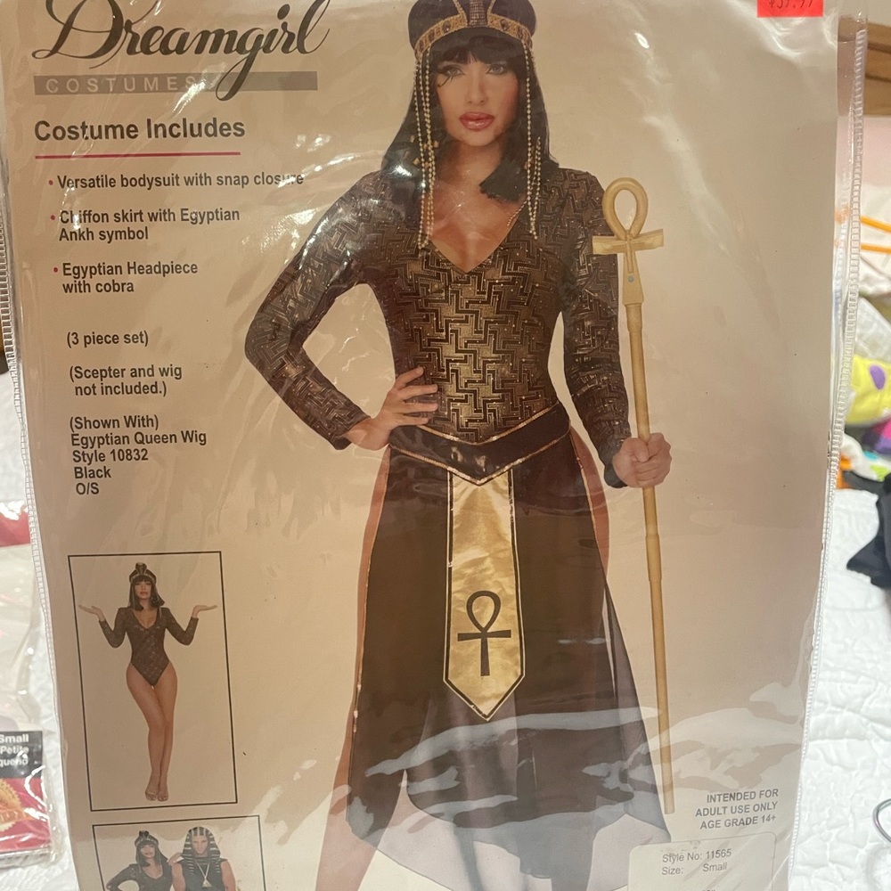Halloween costume